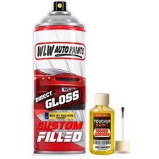 Direct Shine Aerosol Lotus