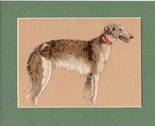 ~ Borzoi/Russian Wolfhound ~ by Cecil Aldin Colour Print Genuine Vintage 1935