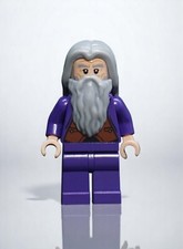 LEGO Harry Potter Figure -