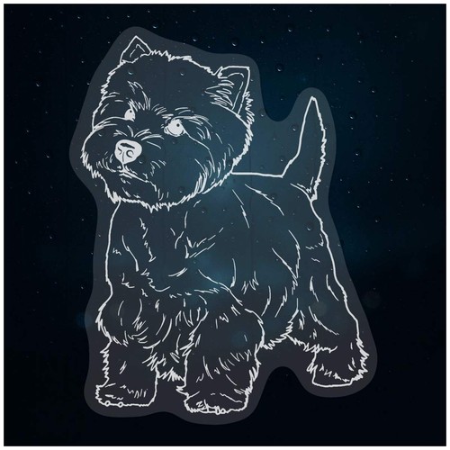 West highland terrier static - 'west,