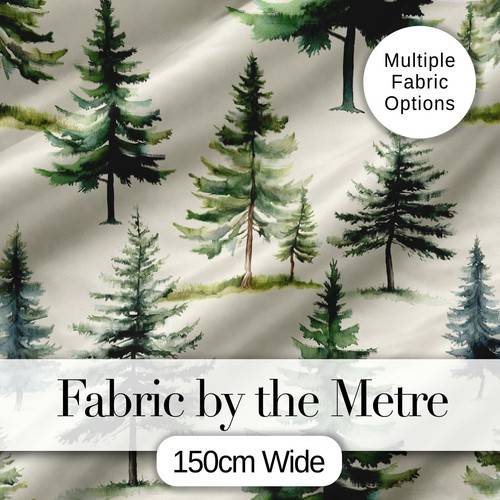Pine tree forest evergreen - forest,