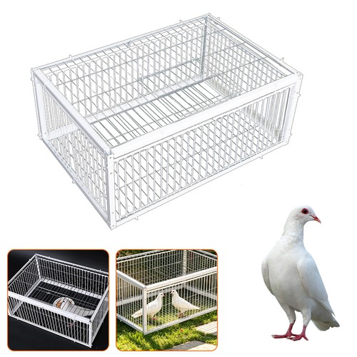 Pigeon trap cage - cage, way