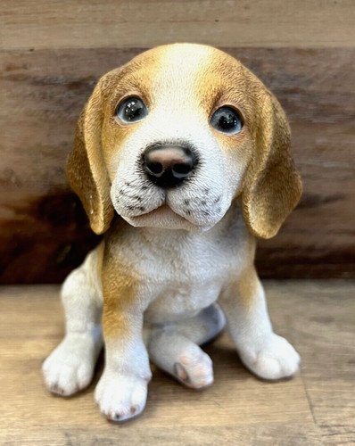 Dog beagle puppy - dog,