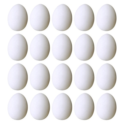 Reusable plastic pigeon - reusable,