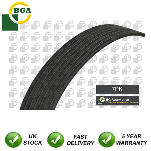 Ribbed drive belt - ribbed,