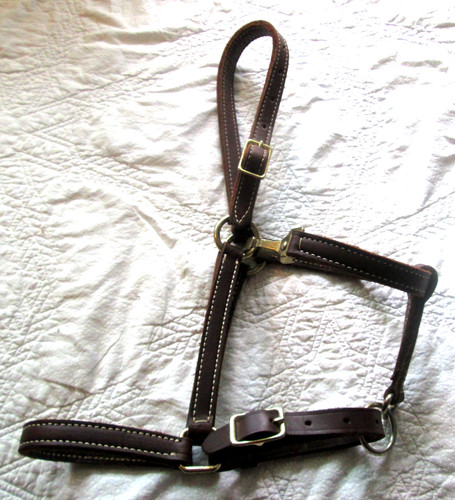 New arab cob thick double - new,