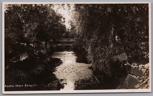 Cardiff south glamorgan - -,