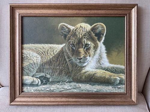 Stephen gayford canvas - stephen,