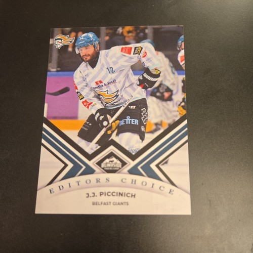 Piccinich belfast giants - jj,