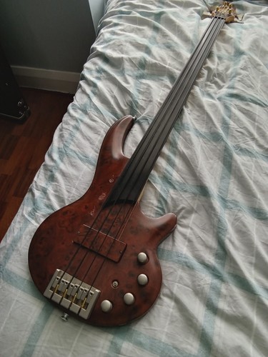 Electric bass guitar - guitar, with