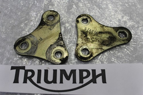 Triumph sprint 955i - sprint,
