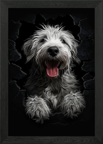Pyrenean shepherd framed - framed, wall