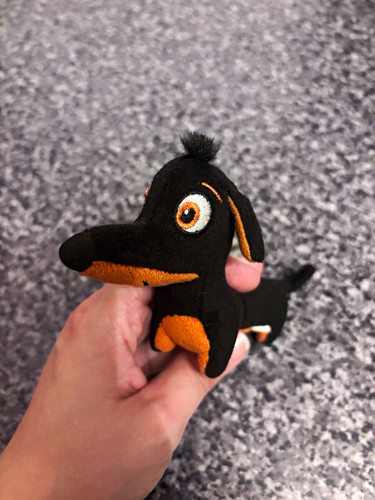 Small dachshund dog plush soft - dachshund,