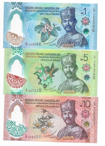 Brunei 10 dollar 2024 - brunei, 5,