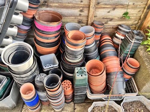 Range small plastic plant - range,