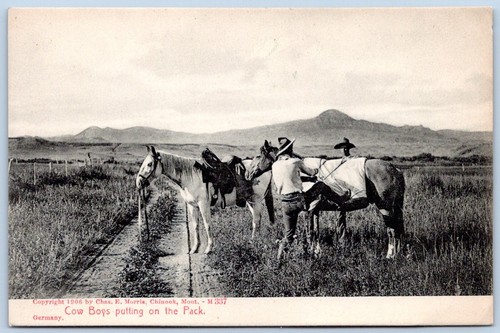 Postcard cowboys putting - postcard,