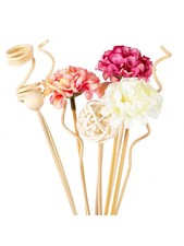 10 PCS Reed Diffuser Scent