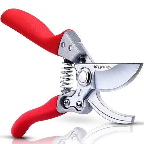 Pruning shears gardening - pruning,
