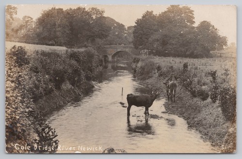 Postcard antique cole - antique,