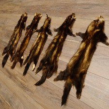 Iltis Fur 5 Pieces Used Animal