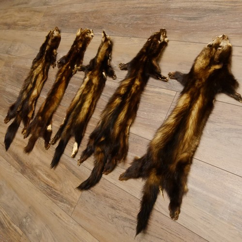 Iltis fur pieces - 5,