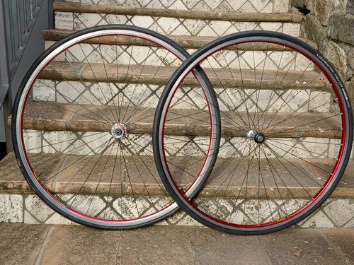 Wilier triestina alpina wind - ,