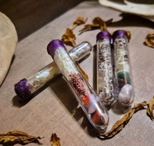 Royal Python Aka Ball Python