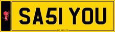 🥰 SASSY YOU 😍 SEXY ANN EVE AMY JEN PRIVATE REGISTRATION NUMBER PLATE SA51 YOU