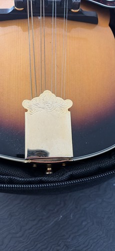 Epiphone style string - a-style, 8-string