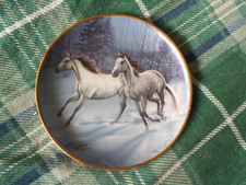 FRANKLIN MINT "WINTER RUN"