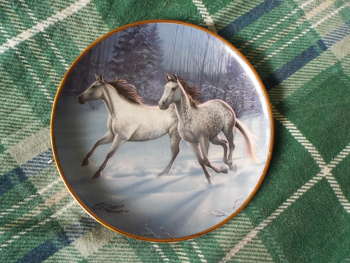 Franklin mint winter run - franklin, run"