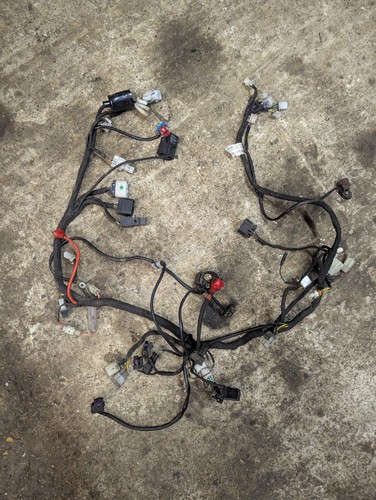 2019 lexmoto lxr 125 loom - lexmoto,