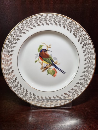 Decorative bird plate - bird,