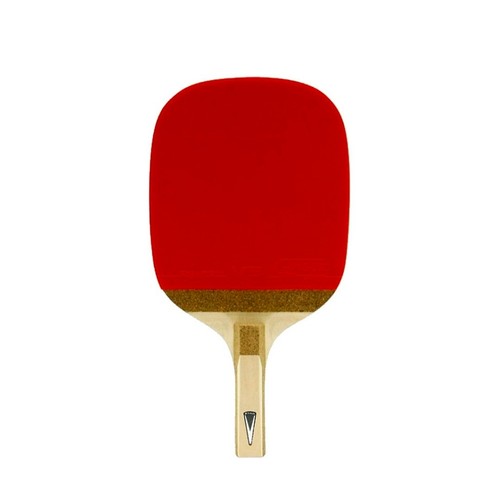 Champion table tennis - champion,