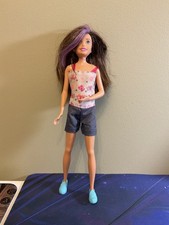barbie doll sister doll