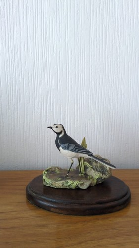 Border fine arts - arts, pied