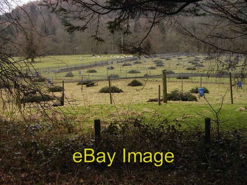 Photo 6x4 pheasant pens - photo,