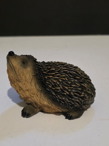 Naturecraft hedgehog looking - hedgehog,