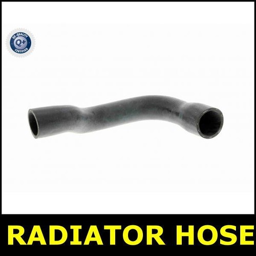 Radiator hose lower for - lower,