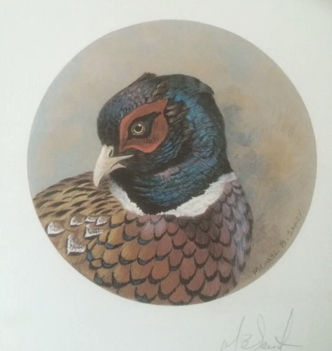 Prints pheasant partridge - prints,