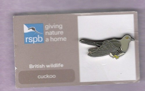 Rspb pin badge - badge,