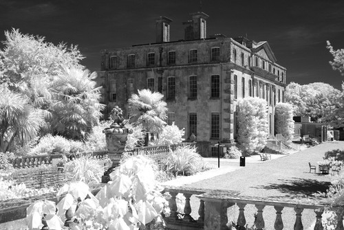 Nikon d80 infrared converted - nikon,
