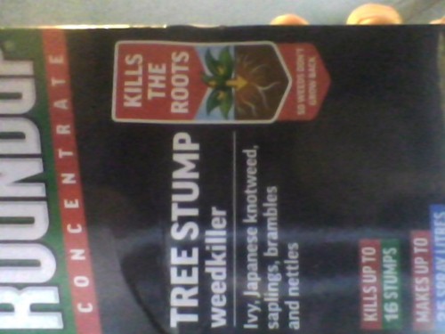 Roundup tree stump and root - stump,