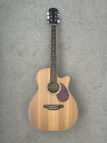 Freshman fa1an cutaway electro - freshman,