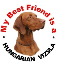 2 Hungarian Vizsla Car