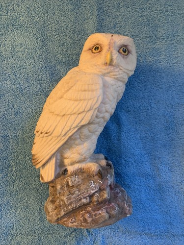 Snowy owl aynsley - owl, ceramic