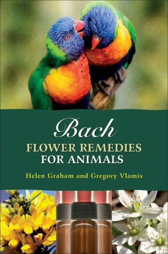 Bach flower remedies for - flower,