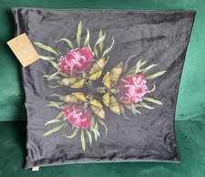 Evans Lichfield BNWT 3 Moths