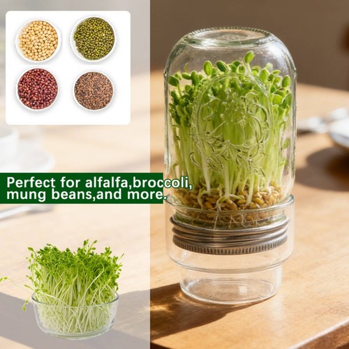 Glass sprouting jar set - glass, grow