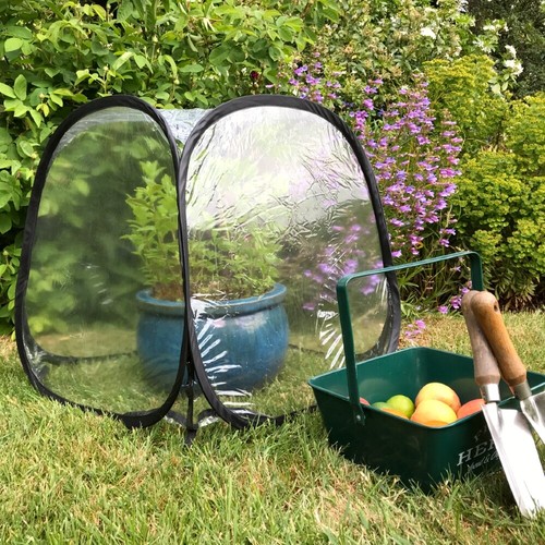 50cm mini poly pop - poly, cage
